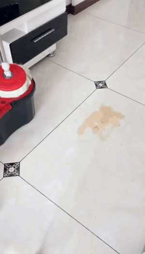 360 Spin Cleaning Mop